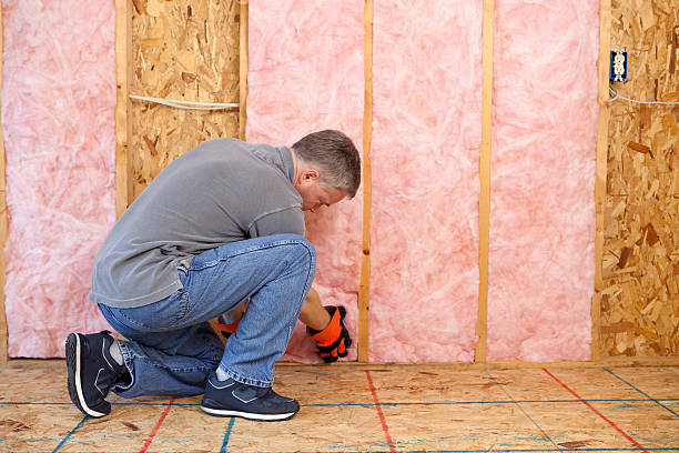 Best Best Insulation Companies  in Whitaker, PA