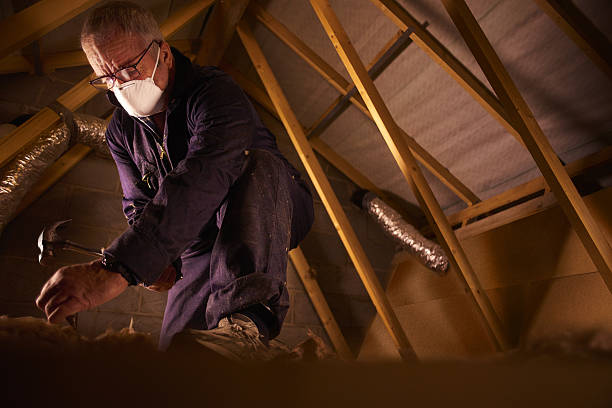 Best Professional Insulation Contractor  in Whitaker, PA